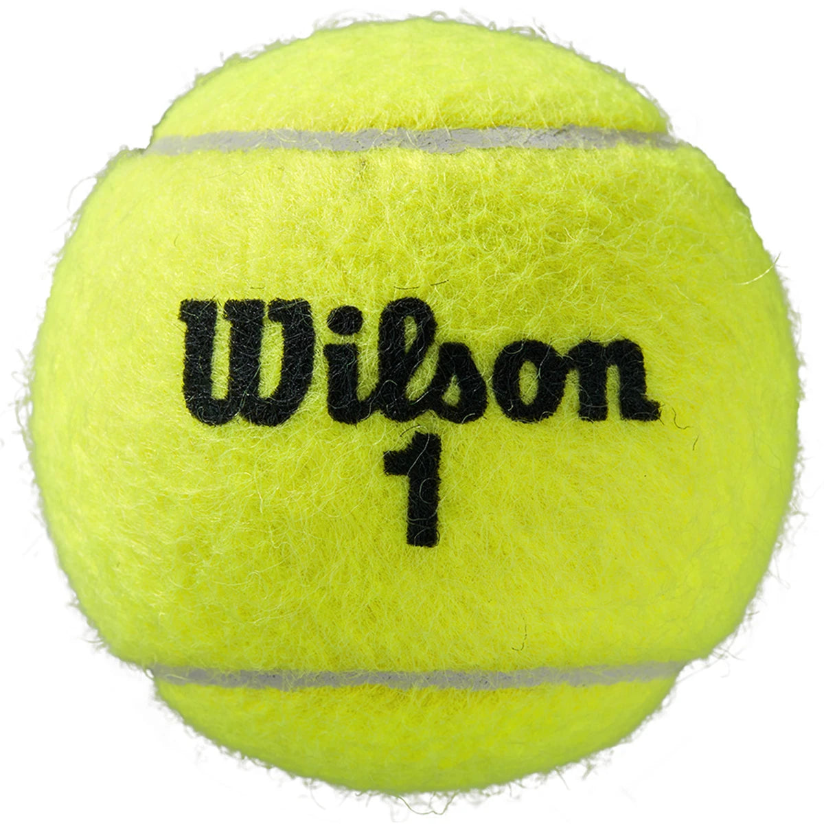 Bipack da 4 Palline Wilson Roland Garros Official Clay