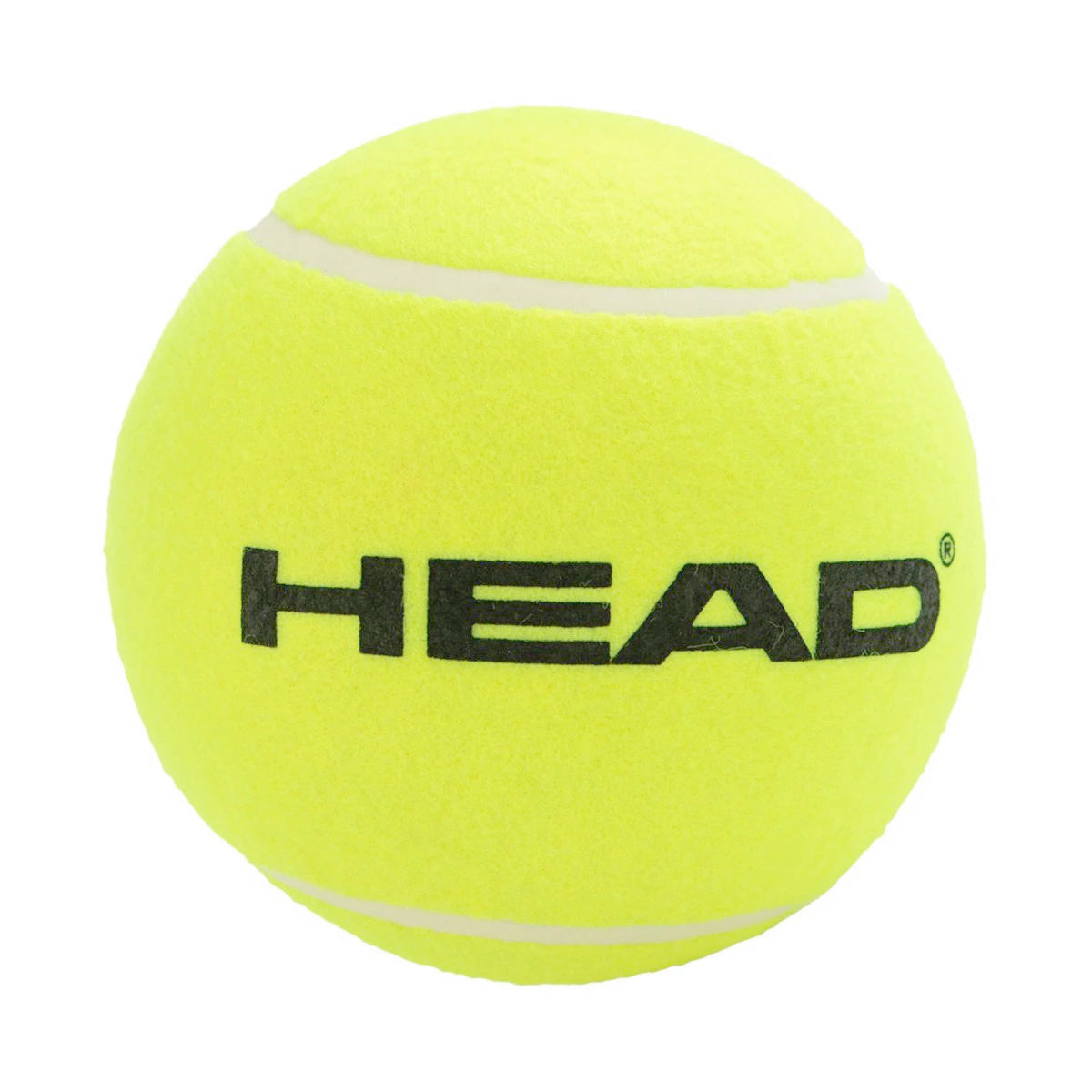 Pallina Media Head