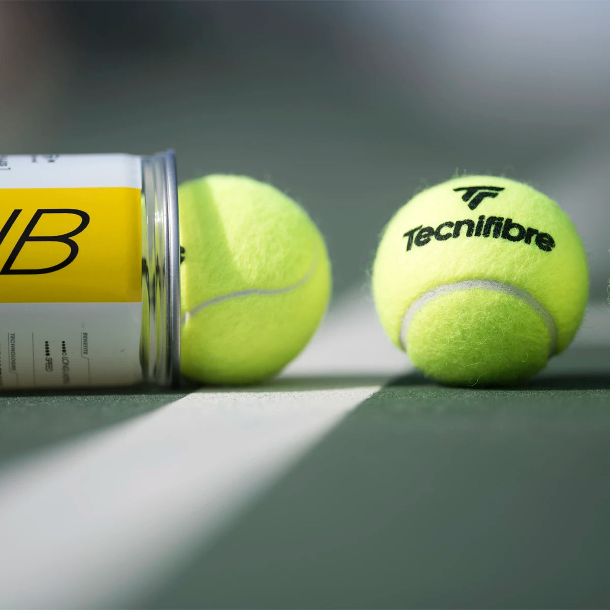 Bipack da 4 Palline Tecnifibre Club