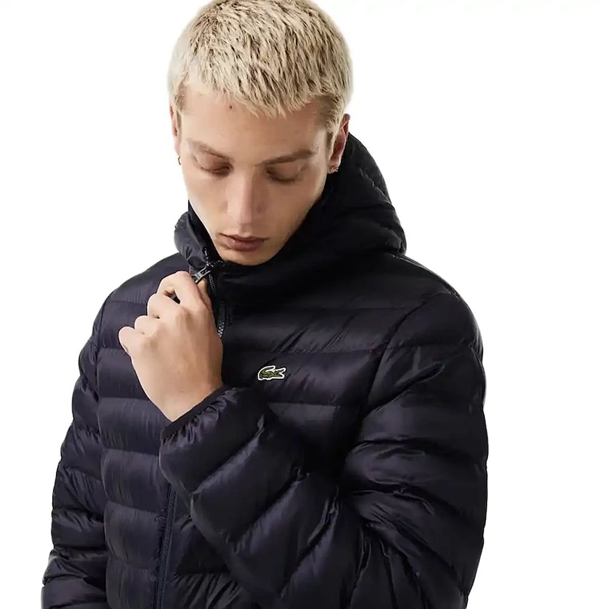 Giacca Lacoste