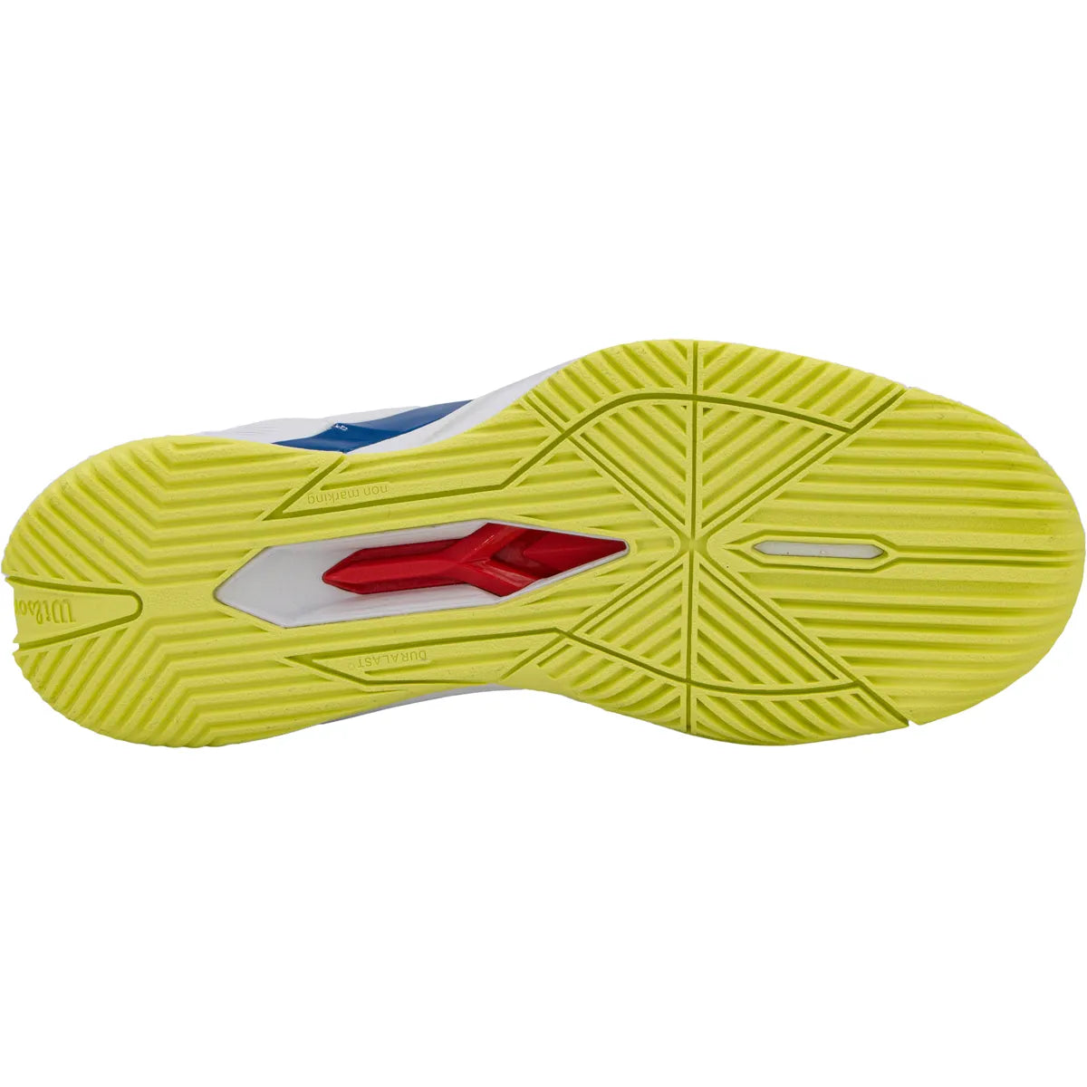 Scarpe Wilson Rush Pro 4.5 Scarpe tutte le superfici Esclusive