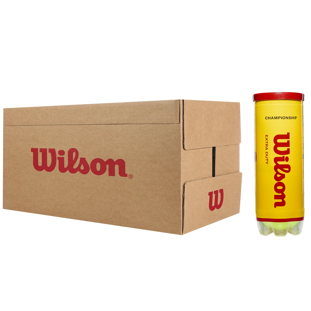 Scatola da 24 Tubetti da 3 Palline Wilson Championship