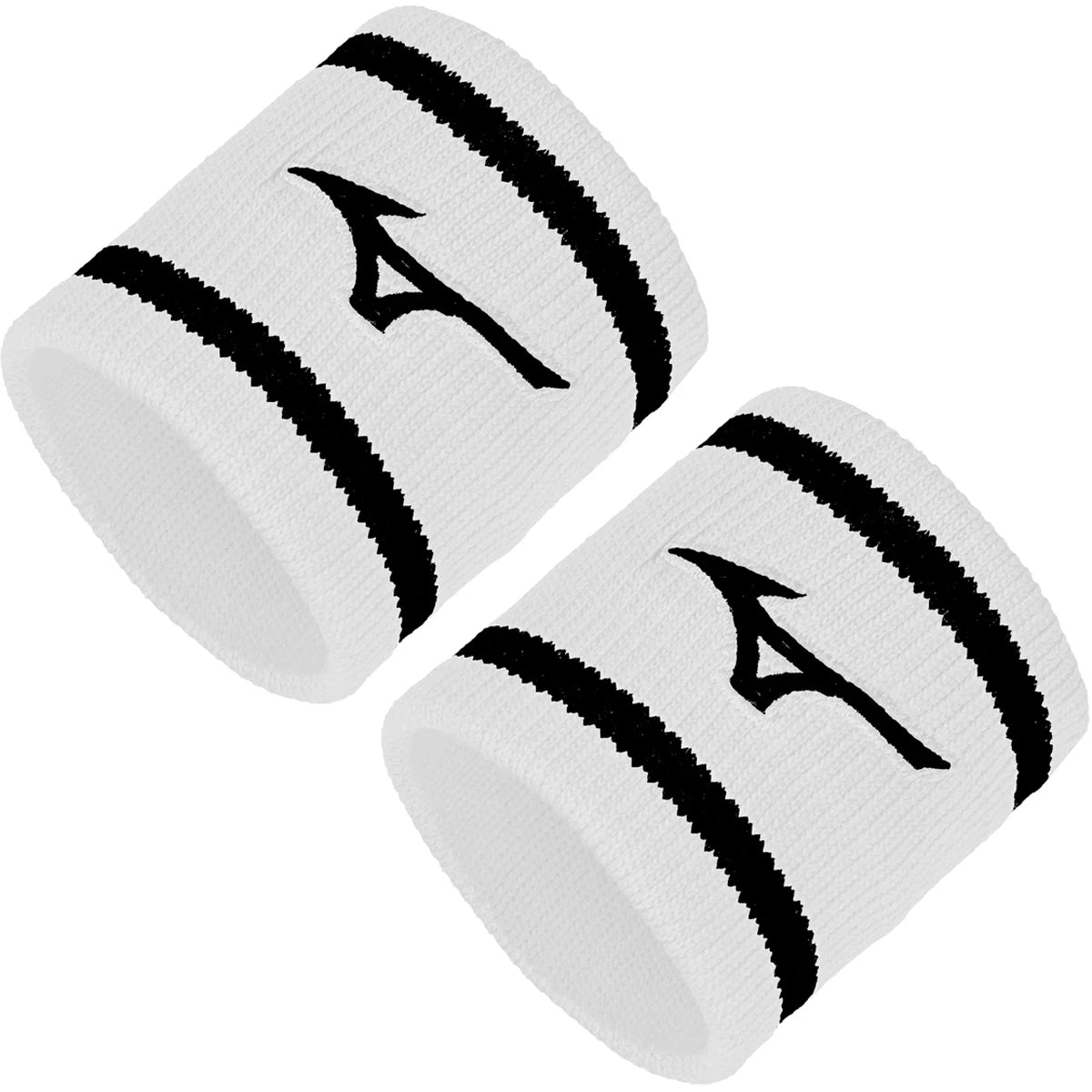 Polsino Mizuno Court