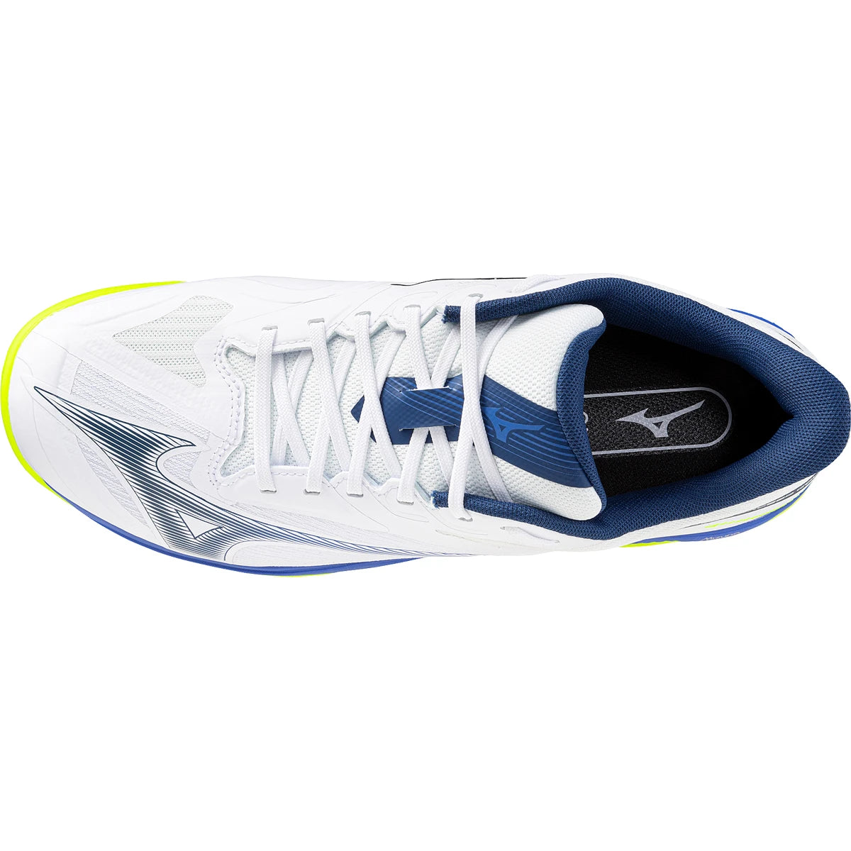 Scarpe Mizuno Wave Exceed Court Terra Battuta