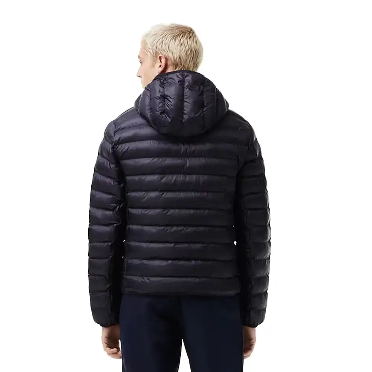 Giacca Lacoste