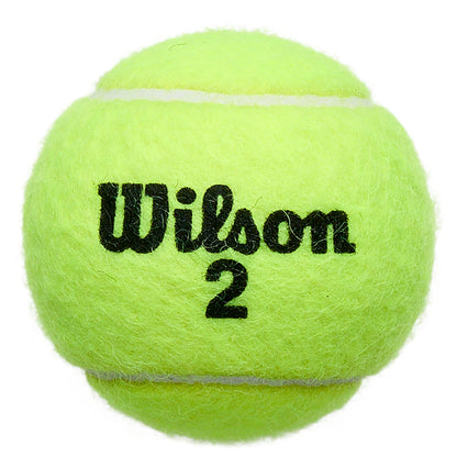 Tubetto da 4 Palline Wilson Roland Garros Clay Court
