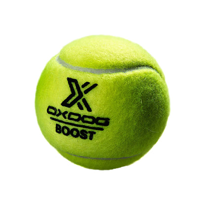 Tubetto da 3 Palline da padel Oxdog Boost