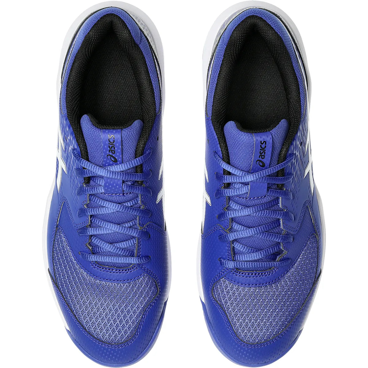 Scarpe Asics Gel Dedicate 8 Terra Battuta