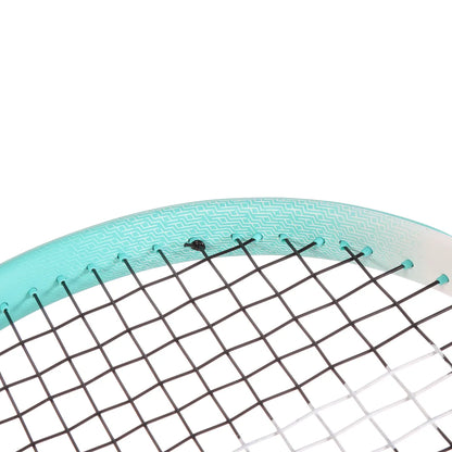 Racchetta Tecnifibre Tempo 275 V2.0 (275Gr) (Corda)