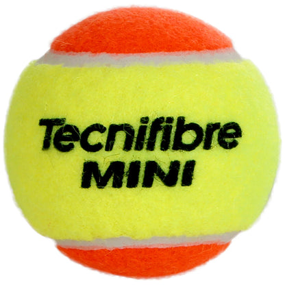 Confezione da 36 Palline da tennis Tecnifibre Mini