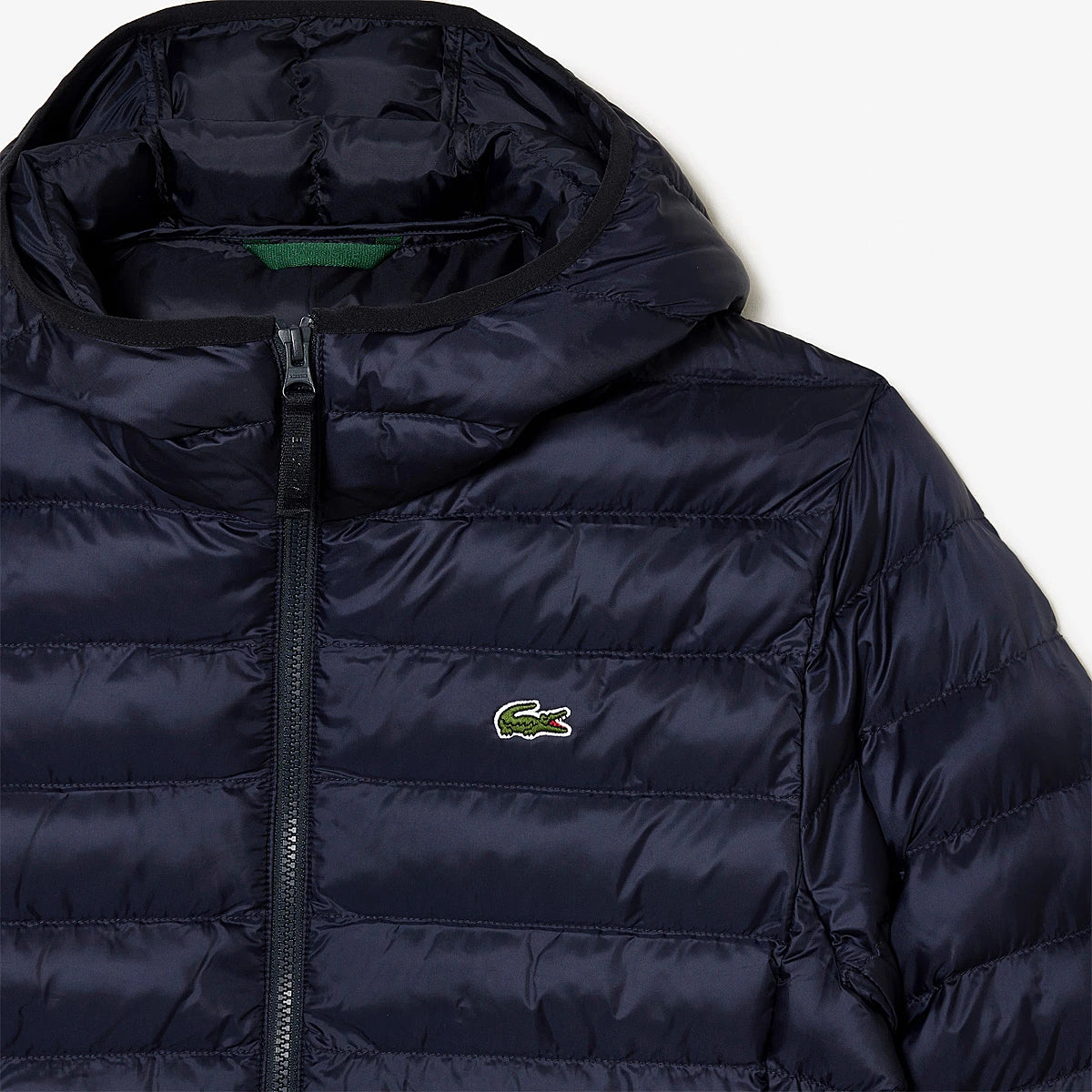 Giacca Lacoste