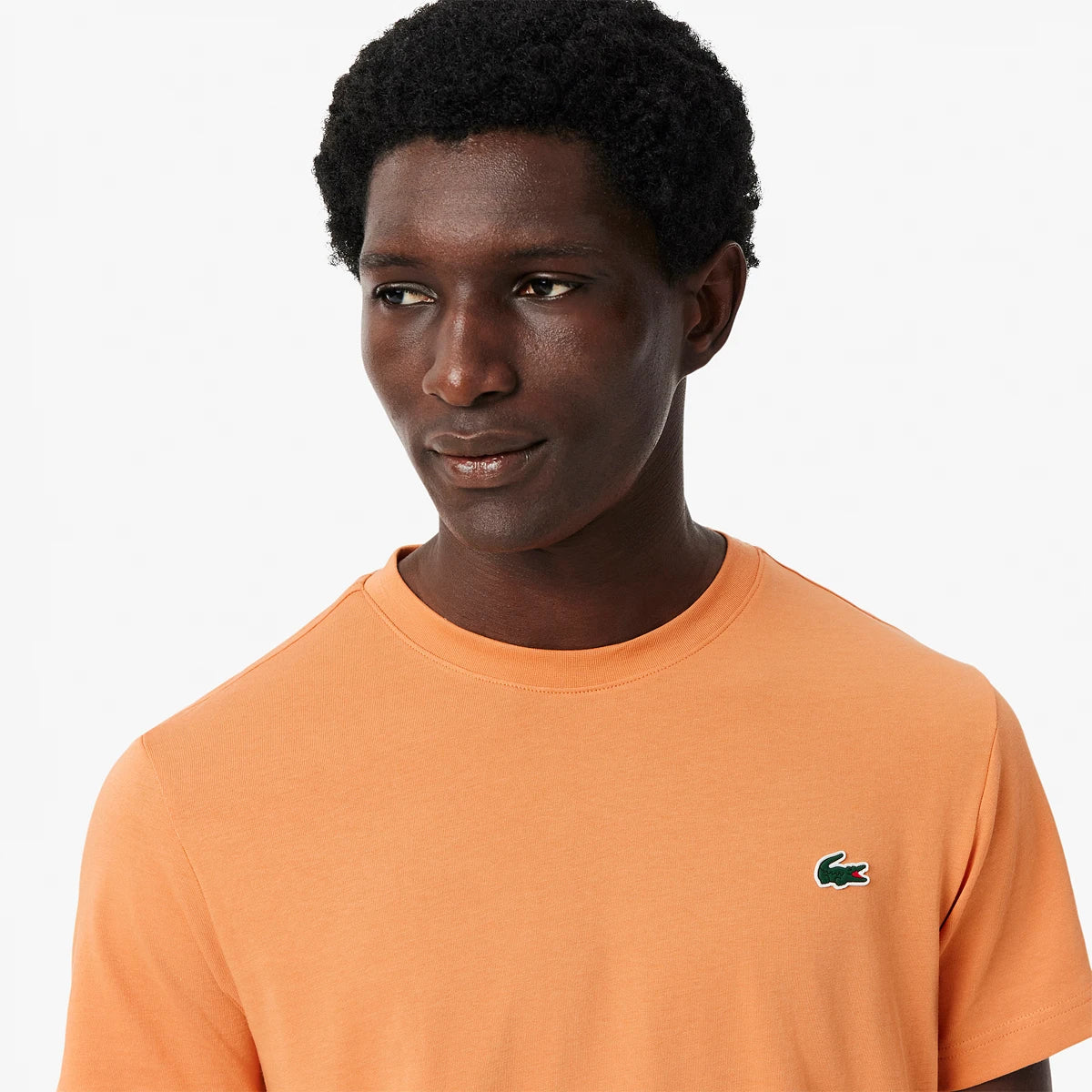 T-Shirt Lacoste Core Performance Grafica