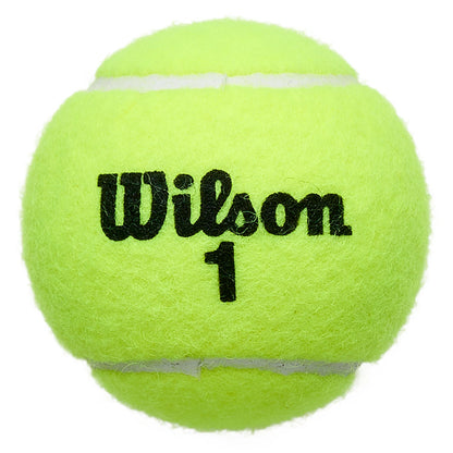 Tubetto da 4 Palline Wilson Championship
