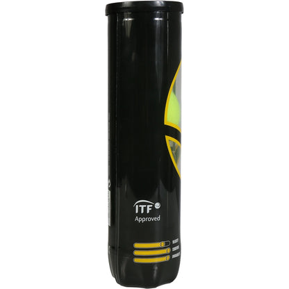 Tubetto da 4 Palline da tennis Tennispro Tour
