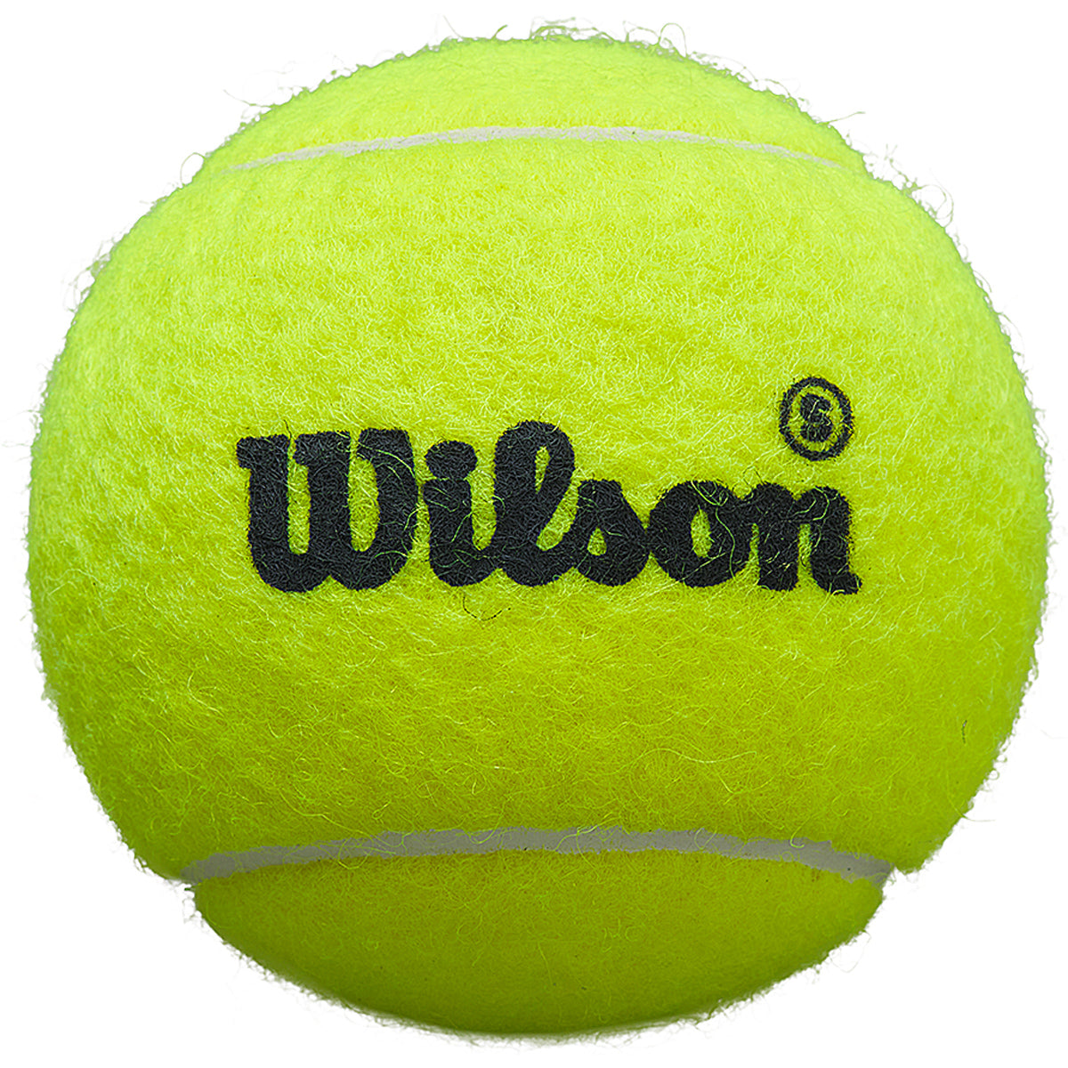 Tubetto da 3 Palline da padel Wilson Premier Padel Speed