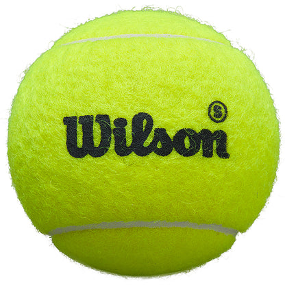 Tubetto da 3 Palline da padel Wilson Premier Padel Speed