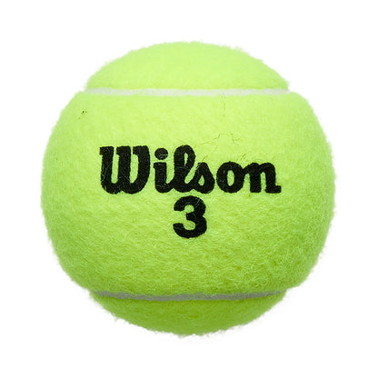 Tubetto da 4 Palline Wilson Roland Garros All Court
