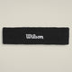 Fascia Wilson Logo