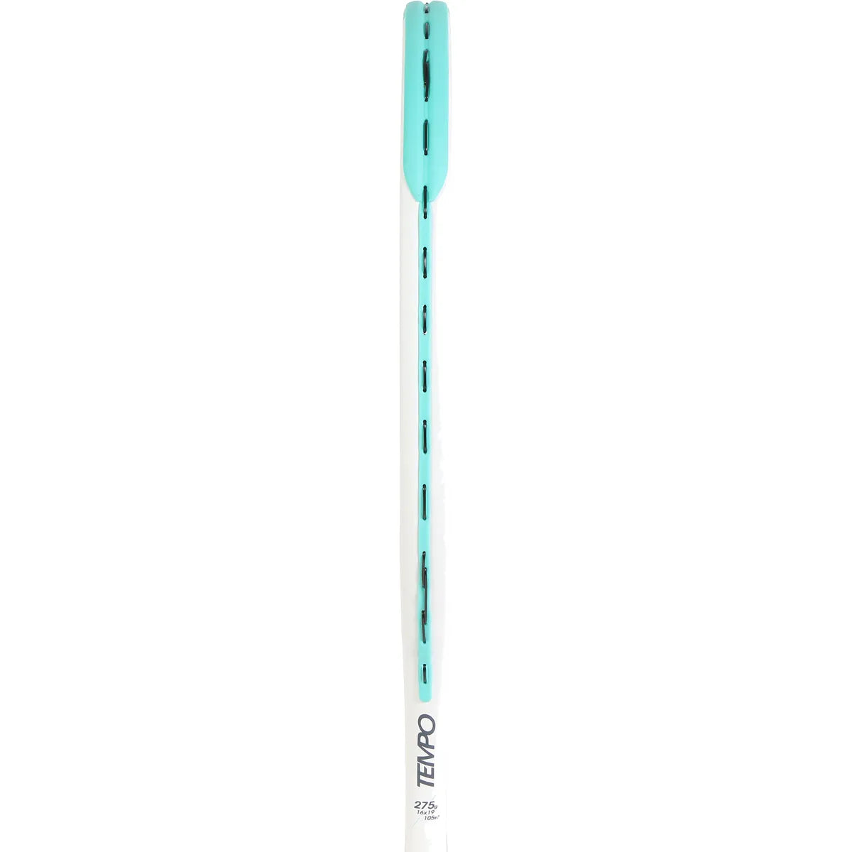 Racchetta Tecnifibre Tempo 275 V2.0 (275Gr) (Corda)