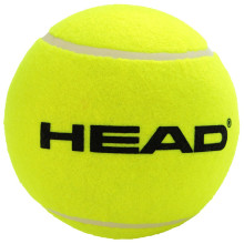 PALLA GIGANTE HEAD