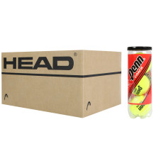 SCATOLA DI 12 TUBI DI 3 PALLINE PENN COACH RED LABEL
