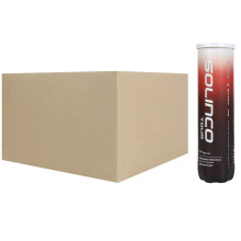 SCATOLA DI 24 TUBI DI 4 PALLINE SOLINCO