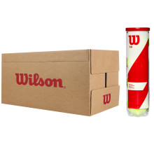CARTONE DA 18 TUBI DA 4 PALLINE WILSON TEAM PRACTICE