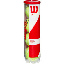 TUBO DI 4 PALLINE DA ALLENAMENTO WILSON TEAM