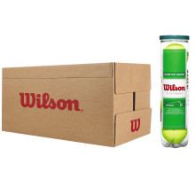 CARTONE DI 18 TUBI  DI 4 PALLE  WILSON STARTER PLAY