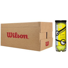 CARTONE DA 24 TUBI DI 3 PALLINE WILSON MINIONS STAGE 1