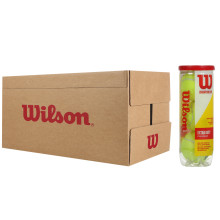 CONFEZIONE DI 24 TUBI DI 3 PALLINE WILSON CHAMPIONSHIP