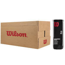 CARTONE DI 24 TUBI DA 3 PALLINE DA PADEL WILSON SPEED