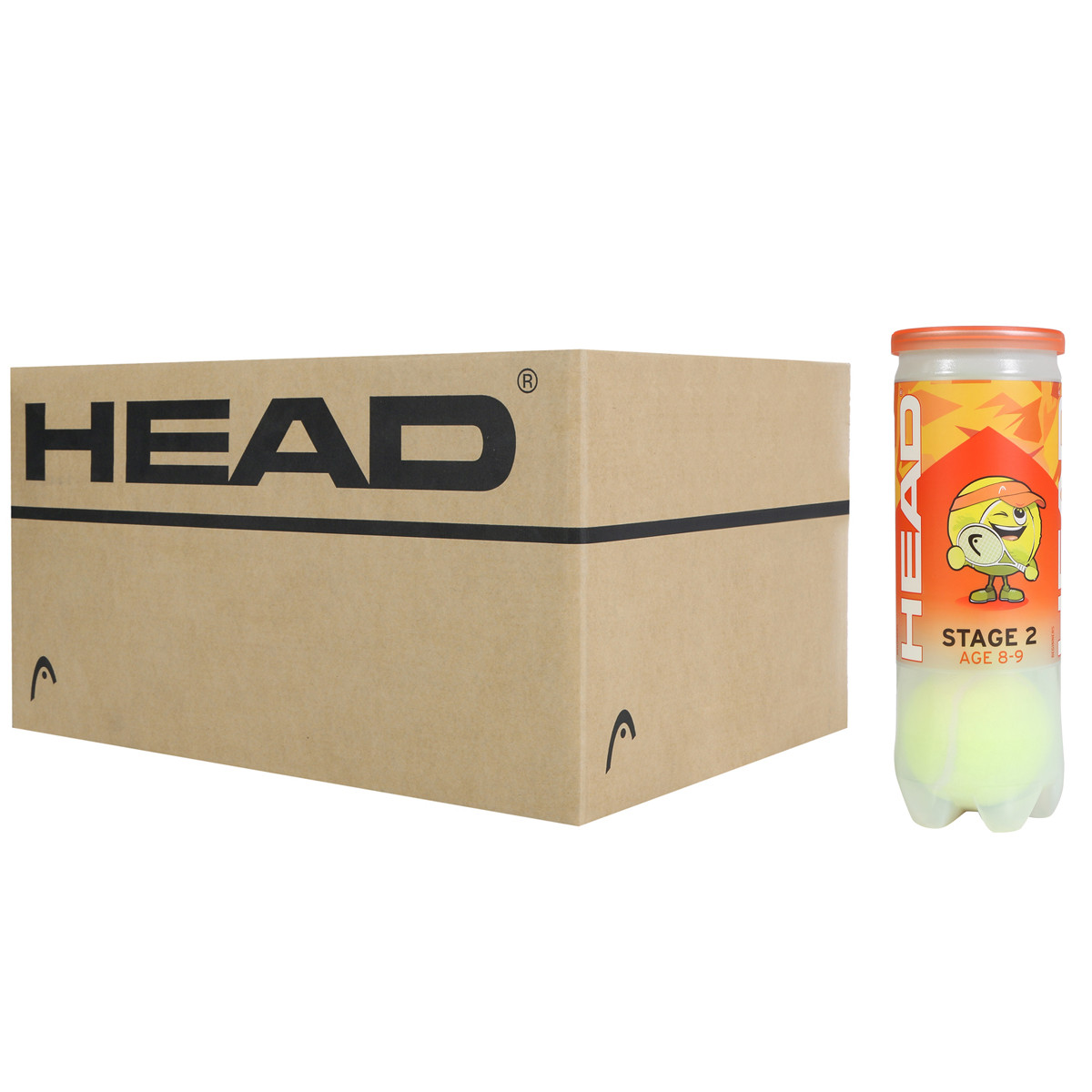 CARTONE DA 24 TUBI DA 3 PALLINE HEAD TIP ARANCIONI