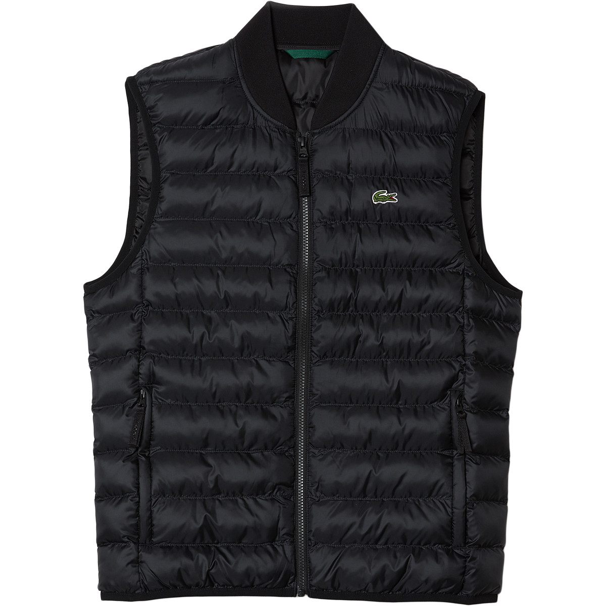 Piumino sales smanicato lacoste