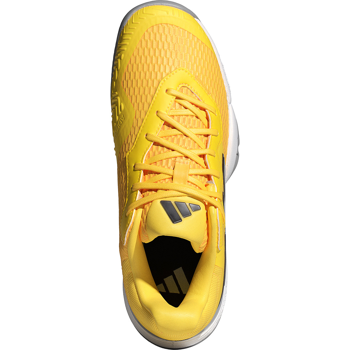 Adidas alphabounce tutte oro shop