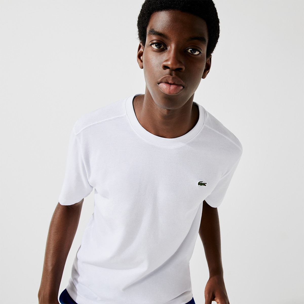 Maglietta lacoste uomo 2025
