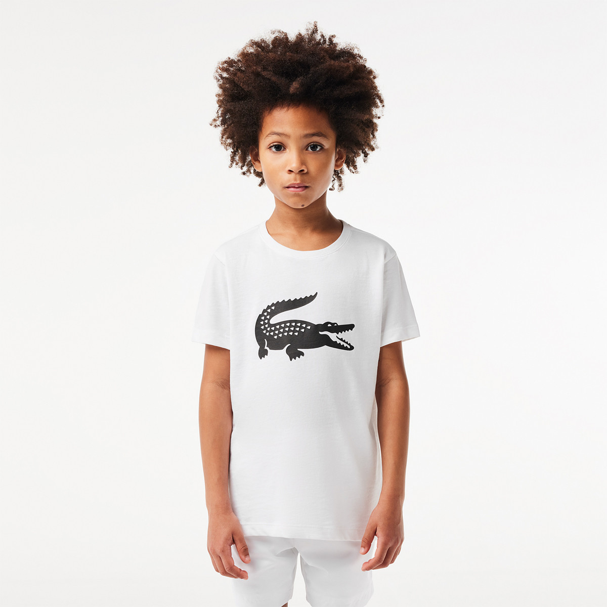 MAGLIETTA LACOSTE JUNIOR CROCO
