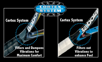 cortex